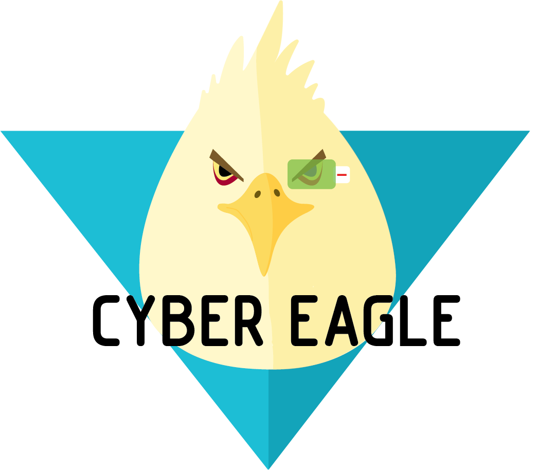 Cyber Eagle | Professional penetration testing services